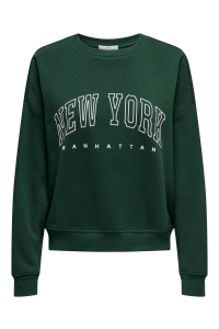 ONLY ONLSWEAT LIFE L/S CREW O.SIZE STATE: pine grove/new york - manhattan