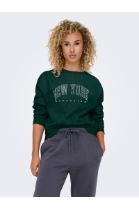 ONLY ONLSWEAT LIFE L/S CREW O.SIZE STATE: pine grove/new york - manhattan