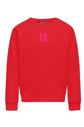 ONLY KOGDITTE LIFE L/S COLOUR CS SWT