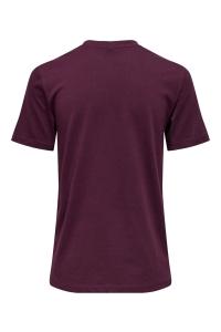 ONLY ONLALLIE LIFE REG S/S AOP TOP BOX J: winetasting/somber art