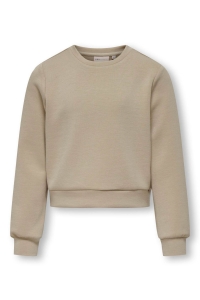 ONLY KOGMAYRA L/S SHINE O-NECK SWT humus/la vie