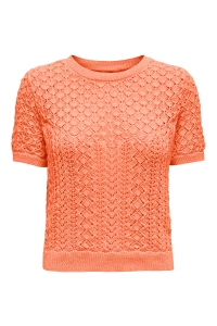 ONLY ONLSAGA LIFE SS O-NECK CC KNT melon