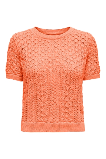 ONLY ONLSAGA LIFE SS O-NECK CC KNT