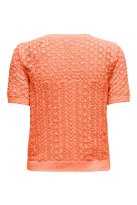 ONLY ONLSAGA LIFE SS O-NECK CC KNT melon