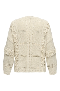 carmakoma CARYRSA LIFE LS FRINGE O-NECK KNT birch