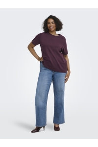 Carmakoma CARJEN SS JEANS TEE JRS NOOS fig