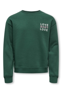 ONLY KOGCAMINE L/S OVERSIZE O-NECK CS SW: pineneedle/love/cloud dancer+sea