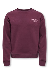 ONLY KOGCAMINE L/S OVERSIZE O-NECK CS SW: mauve wine/break/sea pink