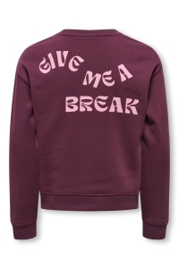 ONLY KOGCAMINE L/S OVERSIZE O-NECK CS SW: mauve wine/break/sea pink