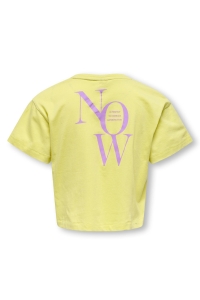 ONLY KOGLEONA LIFE SS PRINT TOP JRS lima bean/now