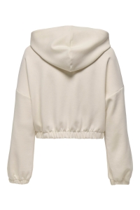 ONLY ONLSCARLETT LIFE LS ZIP HOOD SWT NO: birch