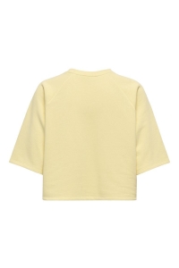 ONLY ONLCORA S/S PRINT O-NECK UB SWT sunlight/good exotic roots