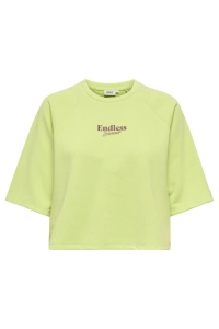 ONLY ONLCORA S/S PRINT O-NECK UB SWT lime sherbet/endless exotic root