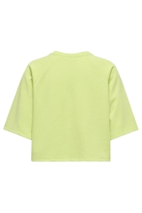 ONLY ONLCORA S/S PRINT O-NECK UB SWT lime sherbet/endless exotic root