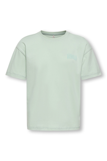 ONLY KOGHELEN LIFE S/S LOOSE TEE JRS NOO: