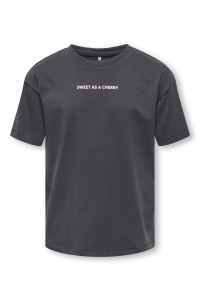 ONLY KOGHELEN LIFE S/S LOOSE TEE JRS NOO: phantom/cherries