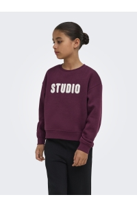 ONLY KOGSWEAT LS CREW OVZ STAT SWT NOOS fig/studio - terry emb.