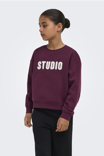 ONLY KOGSWEAT LS CREW OVZ STAT SWT NOOS