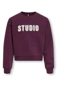 ONLY KOGSWEAT LS CREW OVZ STAT SWT NOOS fig/studio - terry emb.