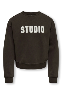 ONLY KOGSWEAT LS CREW OVZ STAT SWT NOOS coffee bean/studio - terry emb.