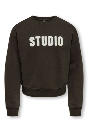 ONLY KOGSWEAT LS CREW OVZ STAT SWT NOOS