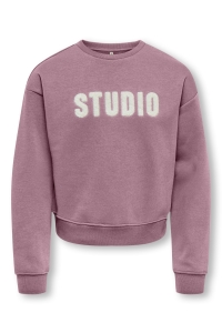 ONLY KOGSWEAT LS CREW OVZ STAT SWT NOOS foxglove/studio - terry emb.