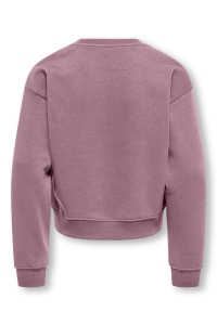 ONLY KOGSWEAT LS CREW OVZ STAT SWT NOOS foxglove/studio - terry emb.