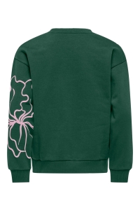 ONLY KOGODESSA LIFE L/S O-NECK BOX UB CP: pineneedle/blurry flower roseate