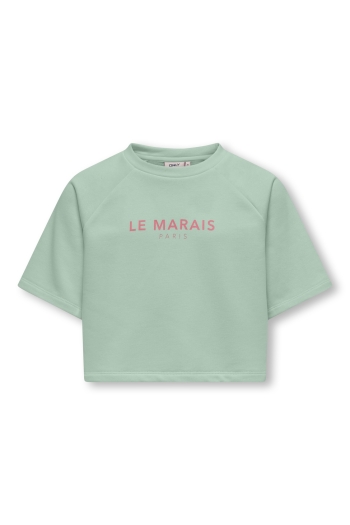 ONLY KOGCORA S/S PRINT O-NECK UB CS SWT