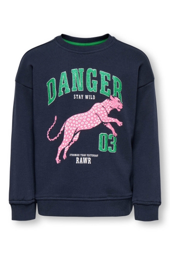 ONLY:KIDS ONLY KMGLEOPAULA LIFE L/S LOOSE PULLO BR: