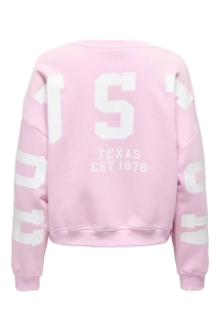 ONLY ONLSWEAT L/S BACK/SLEEVE PRINT SWT : winsome orchid/birch houston pri