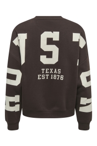 ONLY ONLSWEAT L/S BACK/SLEEVE PRINT SWT : coffee bean/birch houston print