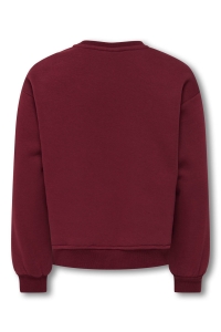 ONLY KOGVICTORY LIFE L/S O-NECK SWT cabernet/detroit/cloud dancer