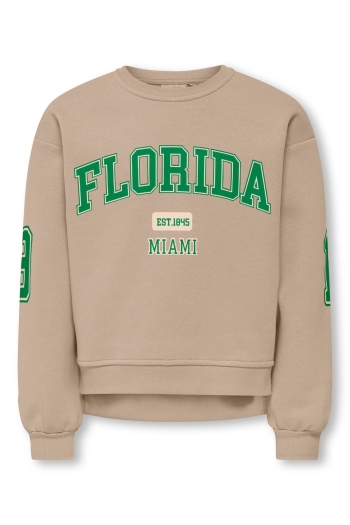 ONLY KOGVICTORY LIFE L/S O-NECK SWT