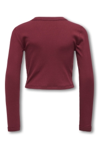 ONLY KOGBINA LIFE L/S O-NECK TOP JRS cabernet