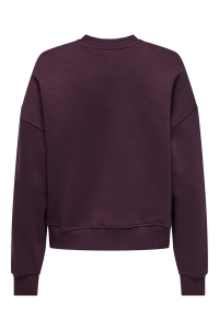 ONLY ONLBEST L/S PRINT CREW NECK SWT winetasting/art