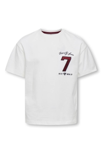 ONLY KOGEBBA LIFE SS O-NECK LOOSE PRINTE: cloud dancer/seven