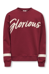 ONLY KOGHELLA LIFE LS O-NECK LOOSE PRINT: cabernet/glorious