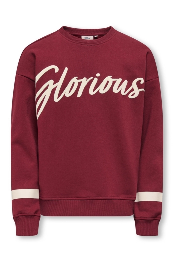 ONLY KOGHELLA LIFE LS O-NECK LOOSE PRINT: