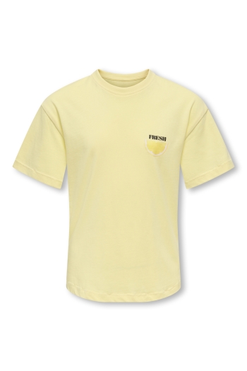 ONLY KOGVIVVI LIFE S/S LOOSE LOVELY TOP :