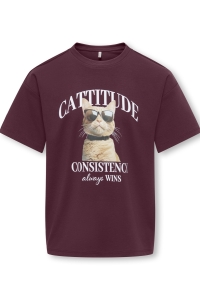 ONLY KOGBILLIE SS LOOSE TEDDY TOP JRS NO: fig/cattitude