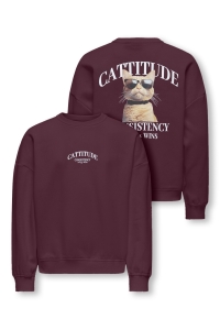 ONLY KOGBILA L/S OVZ PRINT O-NECK SWT NO: fig/cattitude
