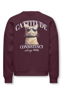 ONLY KOGBILA L/S OVZ PRINT O-NECK SWT NO: fig/cattitude