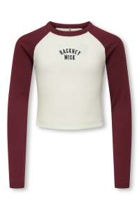 ONLY KOGBINA LIFE L/S O-NECK CONTRAST TO: cabernet/hackney/cloud dancer bo