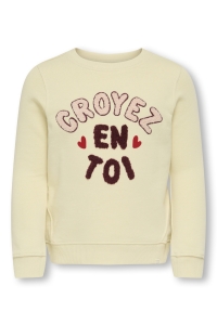 ONLY:KIDS ONLY KMGFRIDA LIFE L/S REG O-NECK BRU SW: birch/crovez en toi