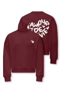 ONLY KOGTAMMIE LIFE L/S PRINT O-NECK SWT cabernet/amour/cloud dancer