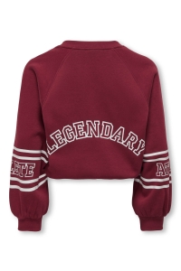 ONLY KOGCOLETTA L/S V-NECK PRINT SWT cabernet/real