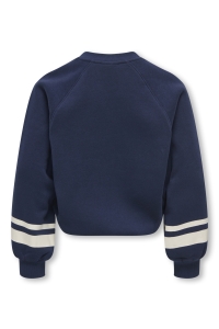 ONLY KOGCOLETTA L/S V-NECK PRINT SWT navy blazer/love