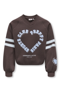 ONLY KOGCOLETTA L/S V-NECK PRINT SWT coffee bean/club