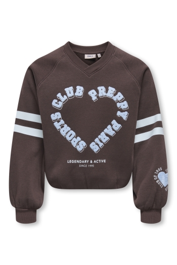 ONLY KOGCOLETTA L/S V-NECK PRINT SWT